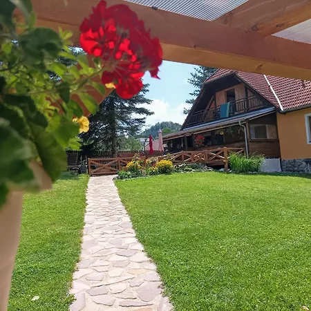 Bella Πανσιόν Český Krumlov